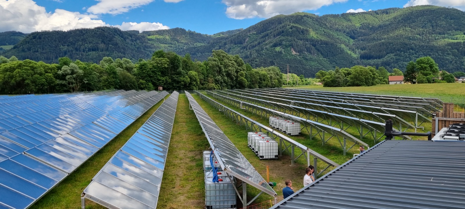 Së bashku për një Prishtinë më të gjelbër